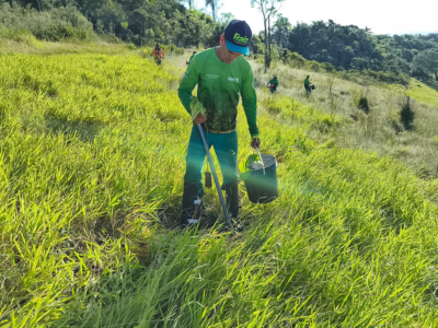 Celesc conclui restauração ambiental com plantio de 4,3 mil mudas nativas no Refúgio Meiembipe