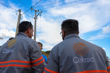Celesc realiza, nesta segunda-feira, dia 24, operação preventiva de limpeza de vegetação no Morro da Lagoa