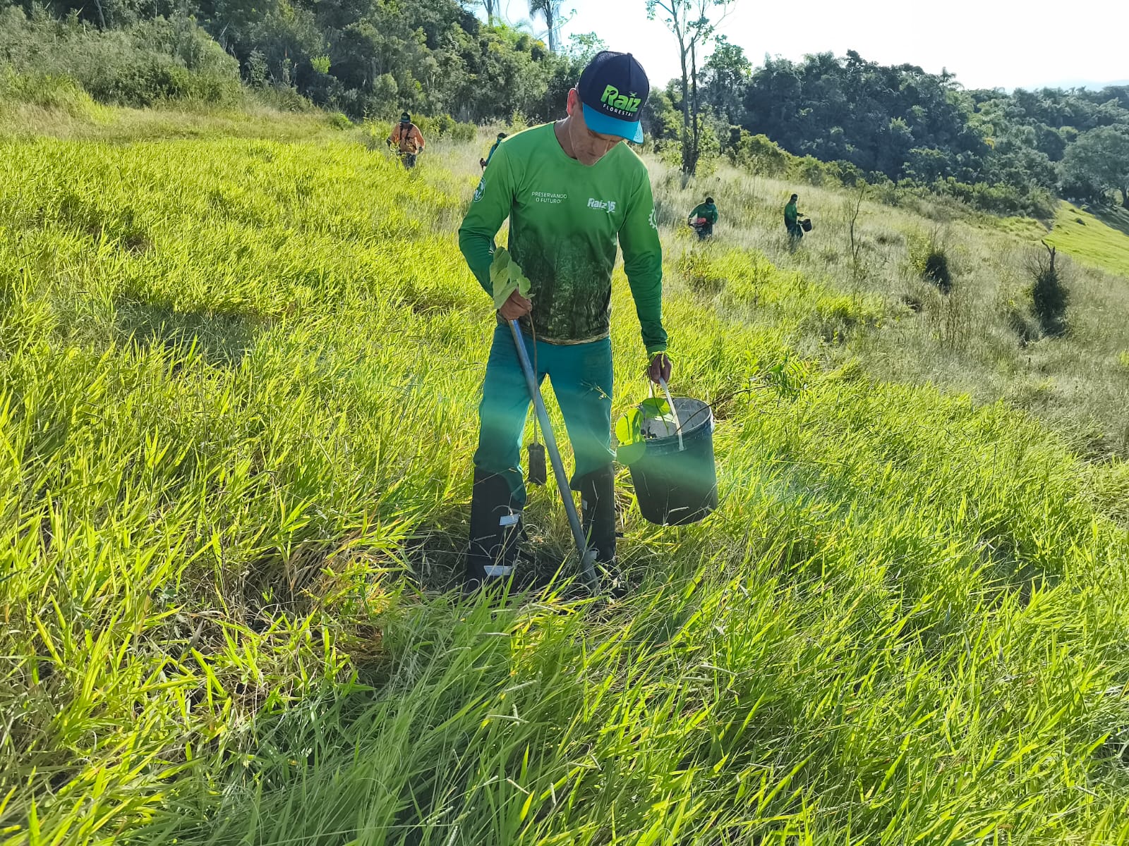 Celesc conclui restauração ambiental com plantio de 4,3 mil mudas nativas no Refúgio Meiembipe