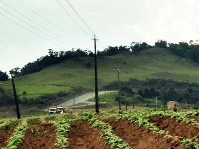 Celesc Rural já instalou 200 km de cabos protegidos no Alto Vale