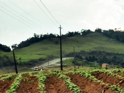 Celesc Rural vai beneficiar mais de 135 mil propriedades rurais em SC